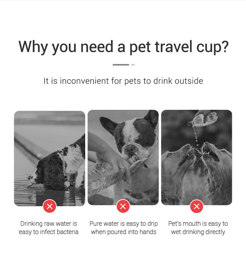 Zelquira HydroGo — Botella Portátil de Hidratación para Perros y Gatos