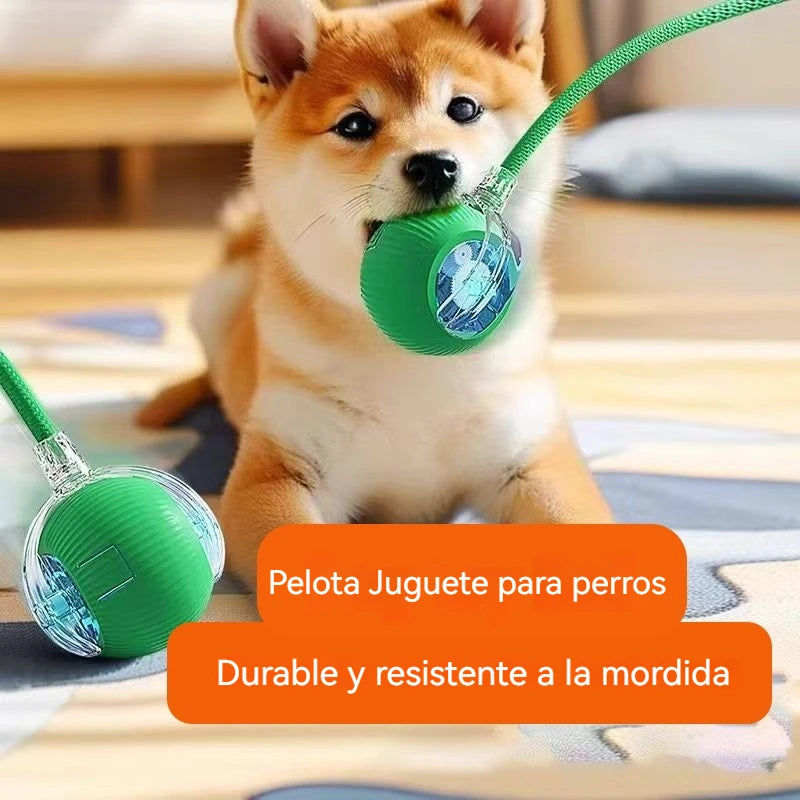 Zelquira PlayBot