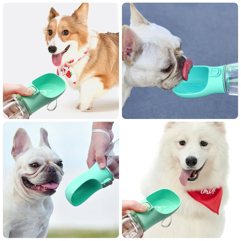 Perro bebiendo de la botella HydroGo Zelquira durante el paseo - hidratación en movimiento