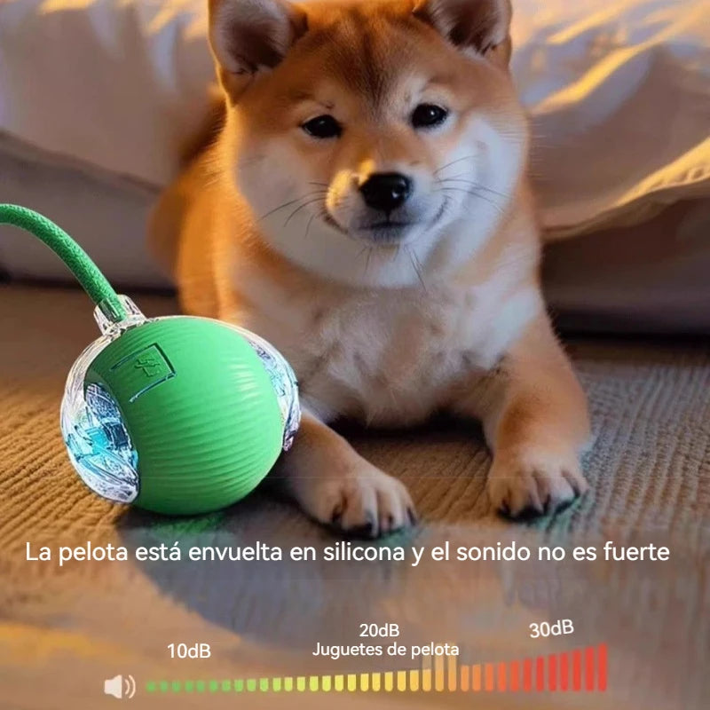 Zelquira PlayBot