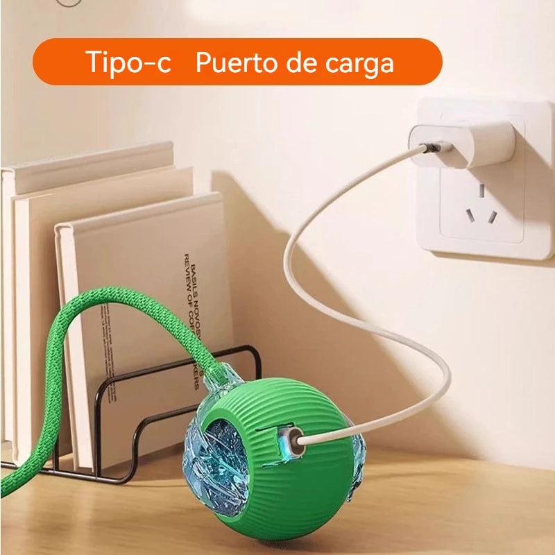 Zelquira PlayBot