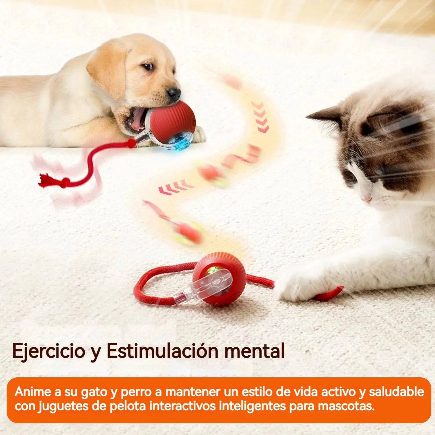 Zelquira PlayBot