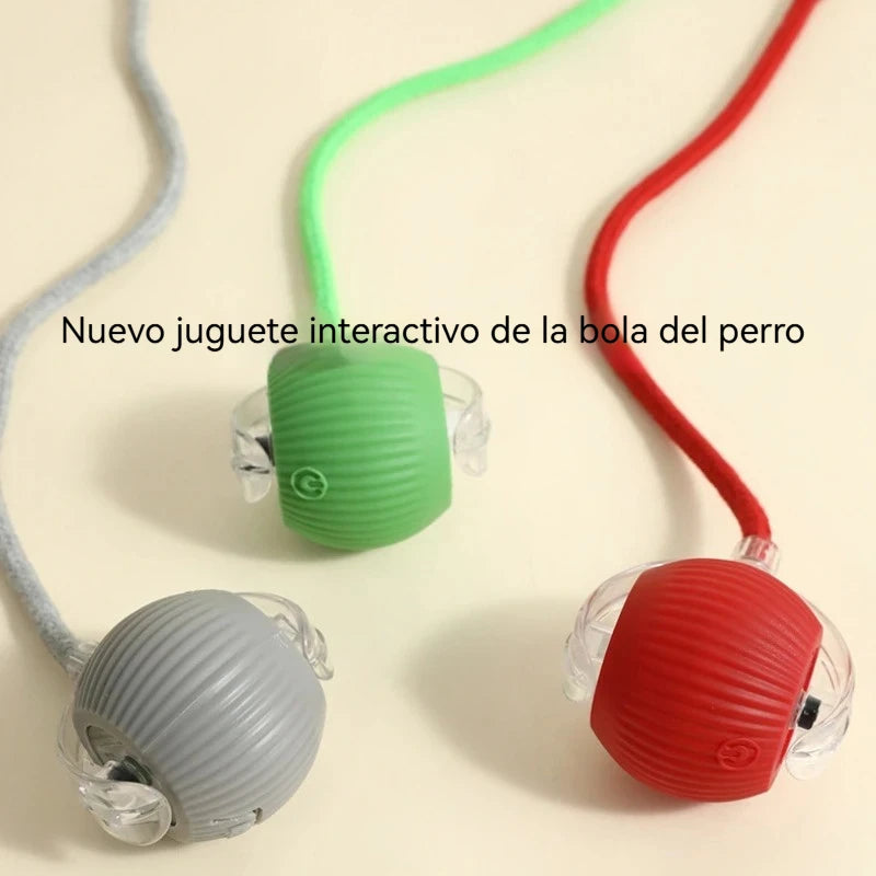 Zelquira PlayBot