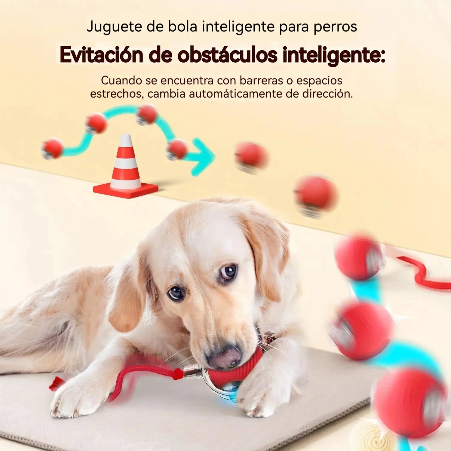 Zelquira PlayBot